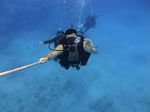 Hawaii Scuba divng 52