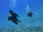 Hawaii Scuba divng 54