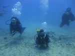 Hawaii Scuba divng 57