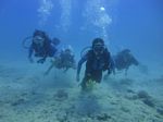 Hawaii Scuba divng 58