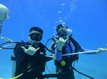 Hawaii Scuba divng 61