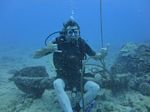 Hawaii Scuba divng 10