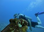 Hawaii Scuba divng 23