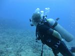 Hawaii Scuba divng 29