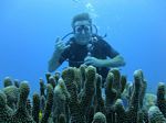 Hawaii Scuba divng 32