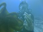 Hawaii Scuba divng 37