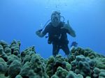 Hawaii Scuba divng 42