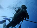 Hawaii Scuba divng 45