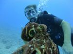 Hawaii Scuba divng 56