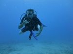 Hawaii Scuba divng 63