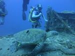 Hawaii Scuba divng 17