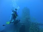 Hawaii Scuba divng 21