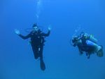 Hawaii Scuba divng 24