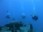 Hawaii Scuba divng 28