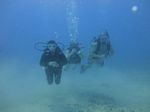 Hawaii Scuba divng 37