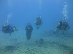 Hawaii Scuba divng 38