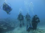 Hawaii Scuba divng 40