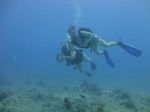 Hawaii Scuba divng 42