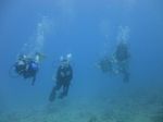 Hawaii Scuba divng 59