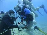 Hawaii Scuba divng 63