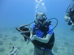 Hawaii Scuba divng 64