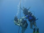 Hawaii Scuba divng 69