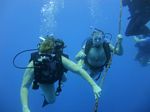 Hawaii Scuba divng 08