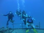 Hawaii Scuba divng 09