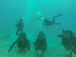 Hawaii Scuba divng 13