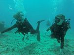 Hawaii Scuba divng 15