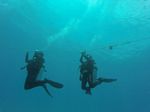 Hawaii Scuba divng 19