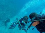 Hawaii Scuba divng 20