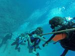 Hawaii Scuba divng 21