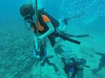 Hawaii Scuba divng 22