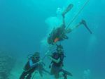 Hawaii Scuba divng 23