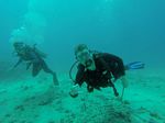 Hawaii Scuba divng 31