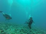 Hawaii Scuba divng 37