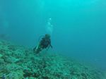 Hawaii Scuba divng 38