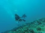 Hawaii Scuba divng 39