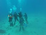 Hawaii Scuba divng 45