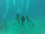 Hawaii Scuba divng 46