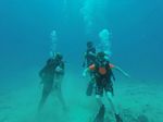 Hawaii Scuba divng 47