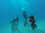 Hawaii Scuba divng 48