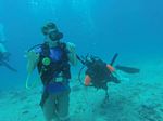 Hawaii Scuba divng 56