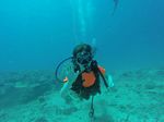 Hawaii Scuba divng 58