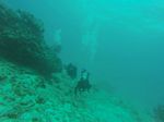 Hawaii Scuba divng 05