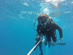 Hawaii Scuba divng 60