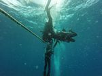 Hawaii Scuba divng 61
