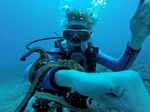 Hawaii Scuba divng 73