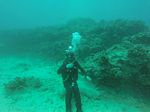 Hawaii Scuba divng 82